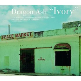 Ivory / Dragon Ash