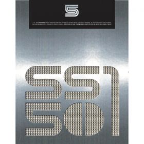 Ao - DESTINATION / SS501