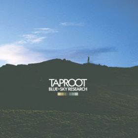 Promise / Taproot