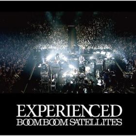RISE AND FALL(Live verD 2010) / BOOM BOOM SATELLITES