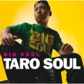 Ao - BIG SOUL / TARO SOUL