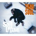 Ao - Soul Dreamer / TARO SOUL