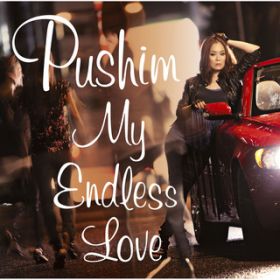 Ao - My Endless Love / PUSHIM