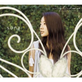 song bird / sona