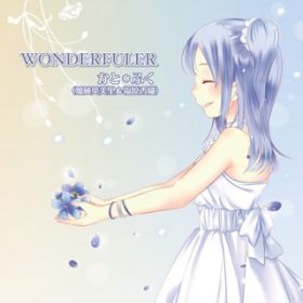 WONDERFULER / *ӂ(p&D)