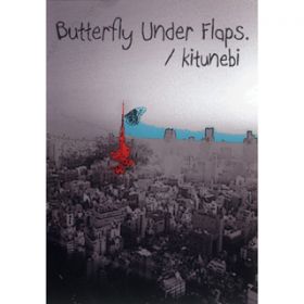 butterfly under flapsD / ω