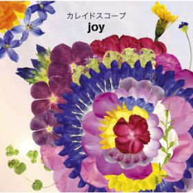 ACICg / joy