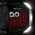 Ao - THE STREET OF DOGG / DDO