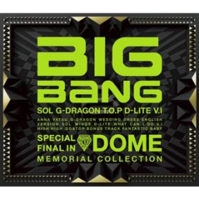 Ao - SPECIAL FINAL IN DOME MEMORIAL COLLECTION / BIGBANG