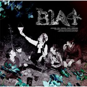 INTRO - IN THE WIND / B1A4