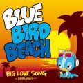 BLUE BIRD BEACH̋/VO - sad to say