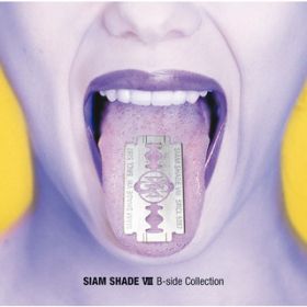 Ao - SIAM SHADE VIII B-side Collection / SIAM SHADE