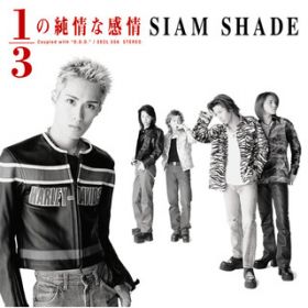 1/3̏Ȋ (Original Karaoke) / SIAM SHADE