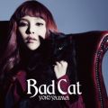 Ao - Bad Cat / mq