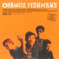 Ao - ORANGE / Fishmans