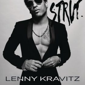 Xgbg / Lenny Kravitz