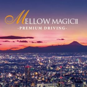 Living for Love / Mellow Magic Project