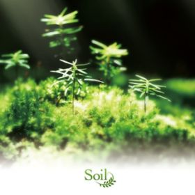 Ao - Rewrite Arrange Album 'Soil' / VDAD