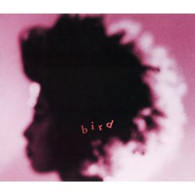 Ao - bird / bird