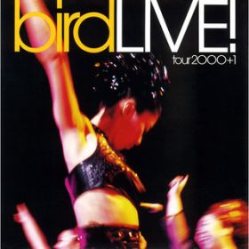 Ao - LIVE! tour 2000+1 / bird