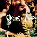 Ao - Sisters Of Avalon / Cyndi Lauper
