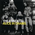Ao - The Essential Alice In Chains / Alice In Chains