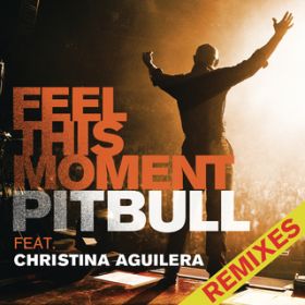 Feel This Moment (Kassiano Radio Mix) featD Christina Aguilera / Pitbull