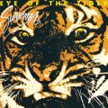 Ao - Eye Of The Tiger / Survivor