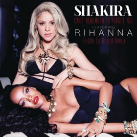 Can't Remember to Forget You (Fedde Le Grand Remix) feat. Rihanna / Shakira