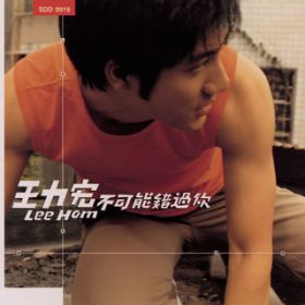 Ao - Impossible to Miss You / Wang Leehom