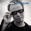 Ao - The Essential Shawn Mullins / Shawn Mullins