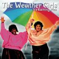 It's Raining Men (Single Version)