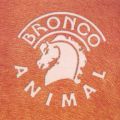 Ao - Animal / Bronco