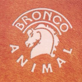 Ao - Animal / Bronco