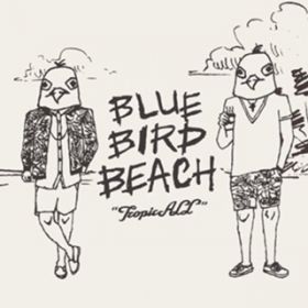 sunset / BLUE BIRD BEACH
