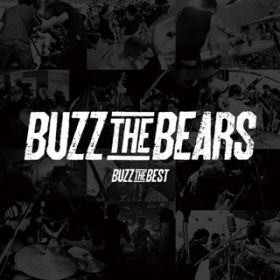 TN(Re-recording verD) / BUZZ THE BEARS