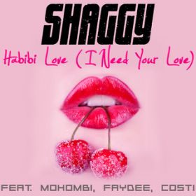Habibi Love (I Need Your Love) feat. Mohombi/Faydee/Costi / SHAGGY