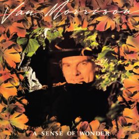 A Sense of Wonder / Van Morrison