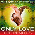 Ao - Only Love (The Remixes) featD Pitbull^Gene Noble / SHAGGY