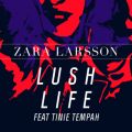 Lush Life Remixes featD Tinie Tempah