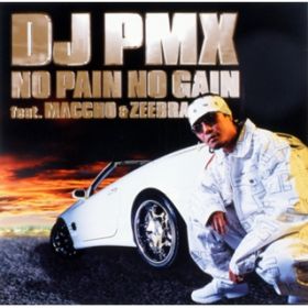 Ao - NO PAIN NO GAIN featD MACCHO  ZEEBRA / DJ PMX
