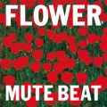 MUTE BEAT̋/VO - NIGHT FLOWER
