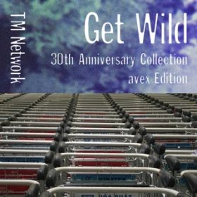 GET WILD (Takkyu Ishino Latino Acid Remix) / TM NETWORK