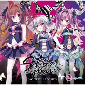 Secret Dream(Instrumental) / Stellamaris