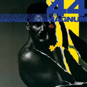 STOP THIS LOVE(Don't Really Fall in Love) / 44 MAGNUM