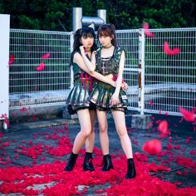Pinky! Pinky! (off vocal verD) / The Idol Formerly Known As LADYBABY