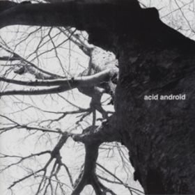relation / acid android