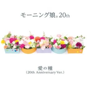̎(20th Anniversary VerD)(Instrumental) / [jOB20th