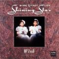Ao - WINK FIRST LIVE Shining Star - Dreamy Concert Tour On 1990 - / Wink