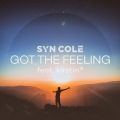 Syn Cole̋/VO - Got the Feeling feat. kirstin